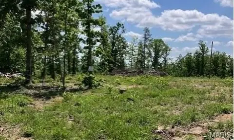 Secluded Acreage Near National Forest