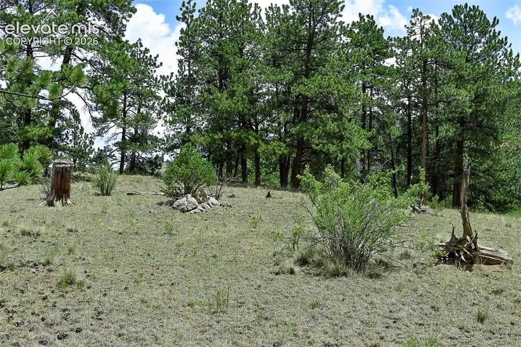Picture 18