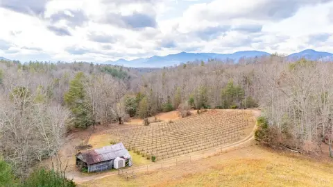 77 Acres in Blue Ridge