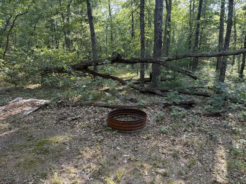 Picture 11