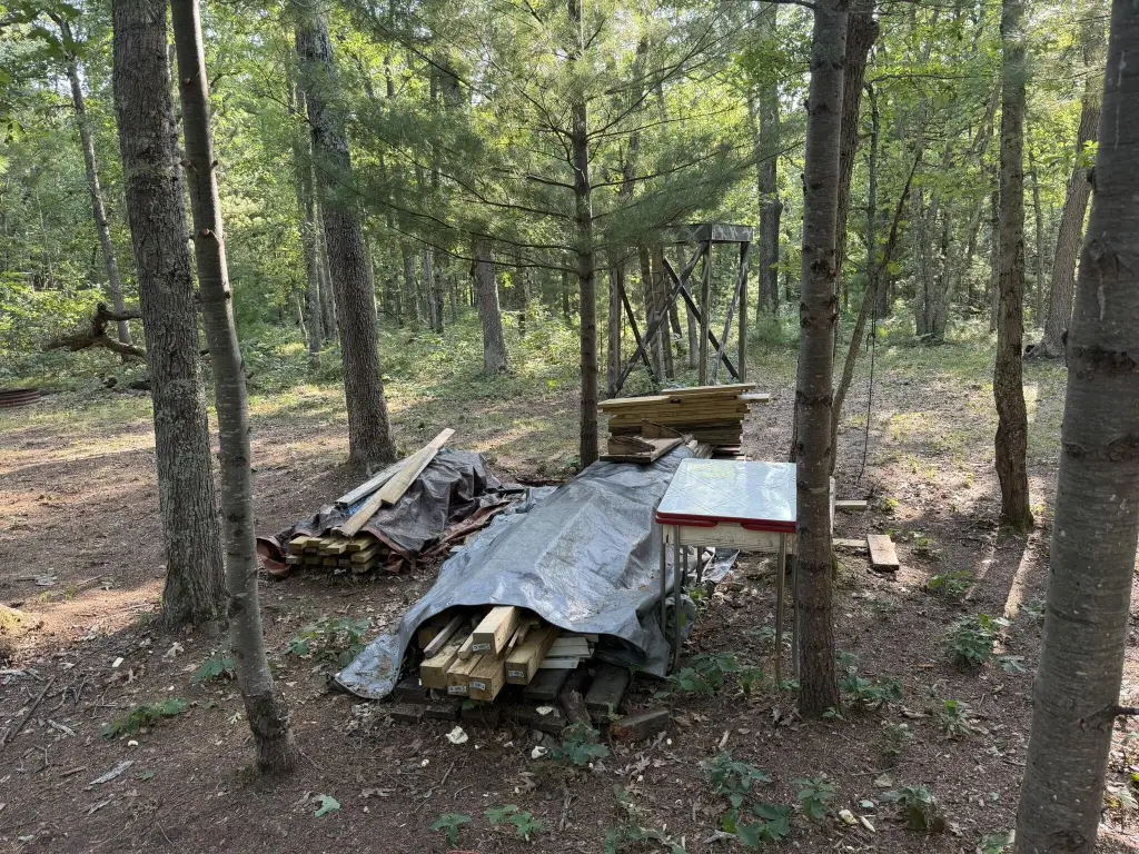 Picture 21