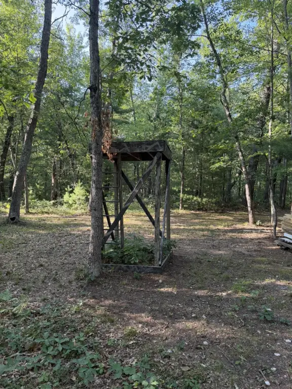 Picture 22