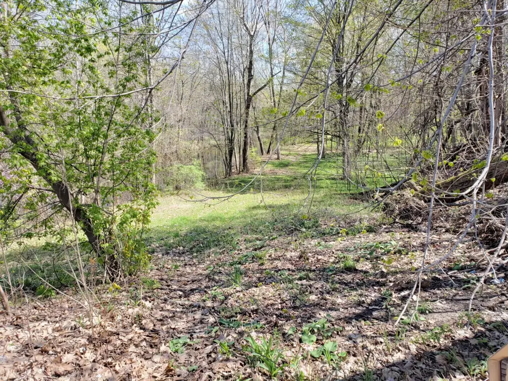 Picture 5