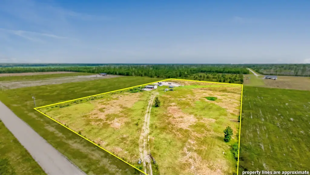 Picture 51