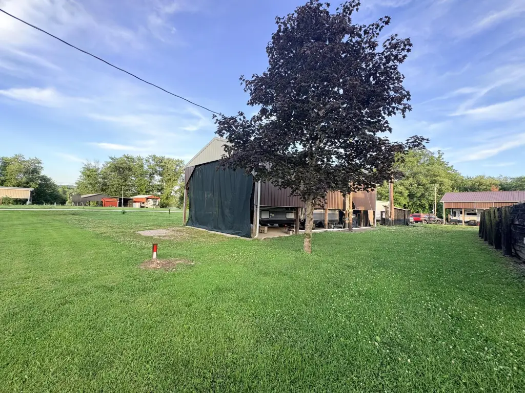 Picture 31