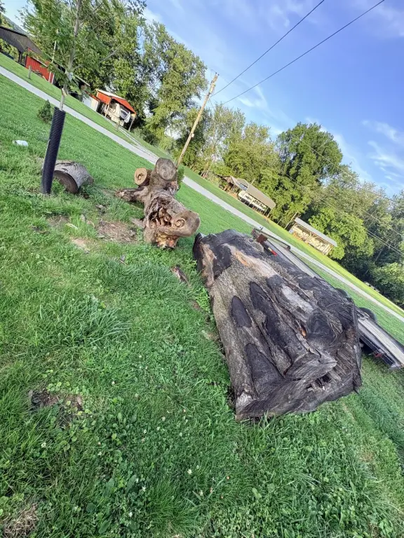 Picture 18