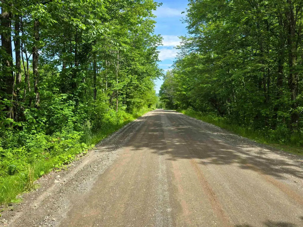 Picture 37