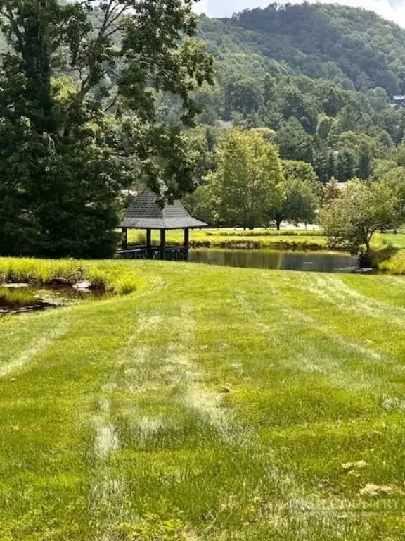 Picture 12