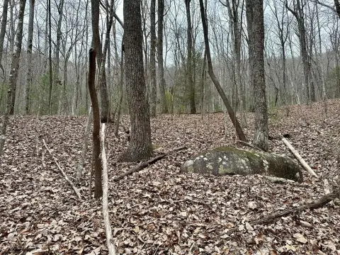 Land in Murphy, North Carolina