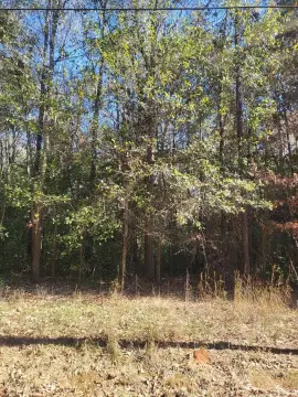 Residential Land in Albany, GA
