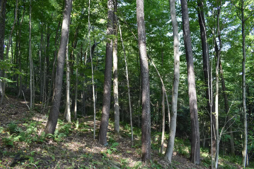 Picture 16