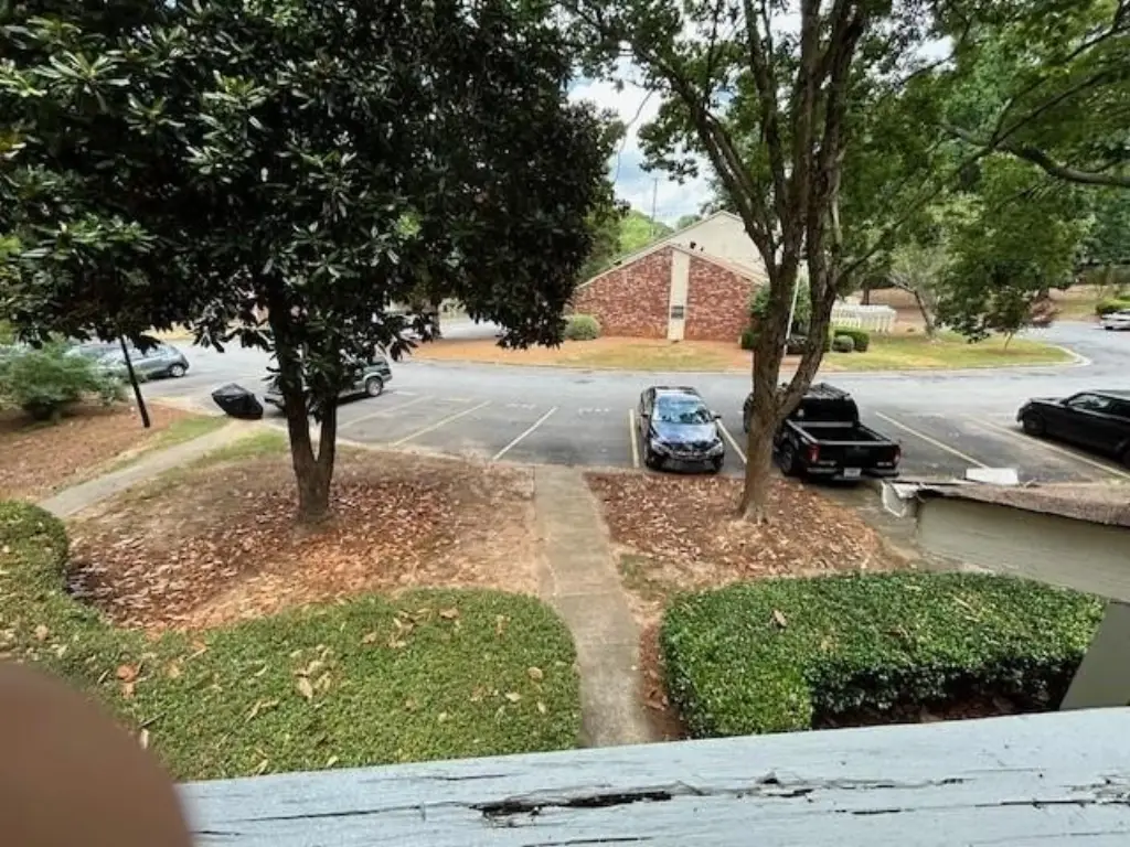 Picture 19