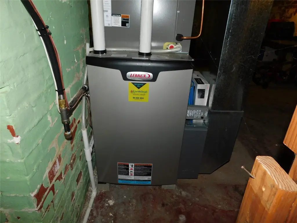 Picture 14