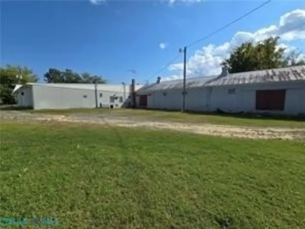 Picture 7