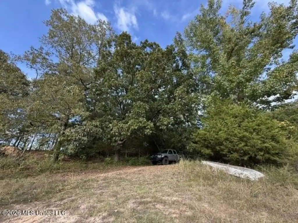 Picture 15