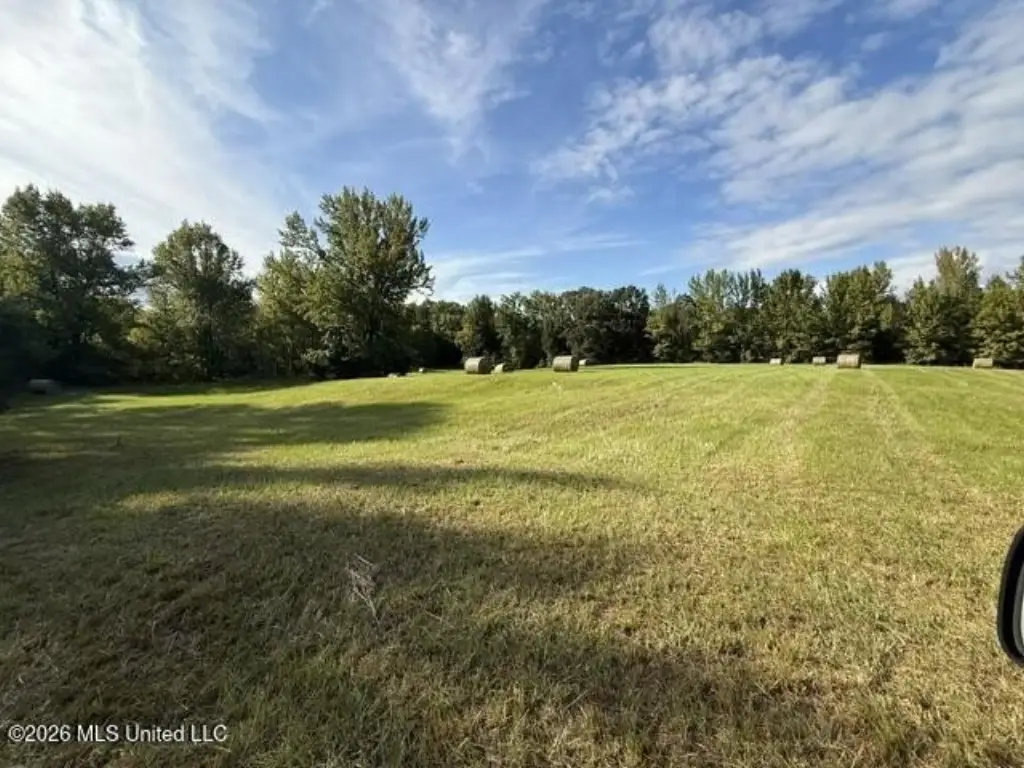 Picture 7