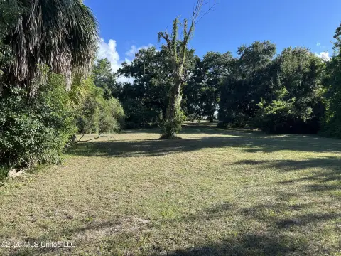 Commercial Land
