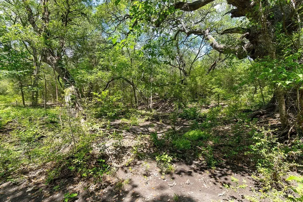 Picture 30