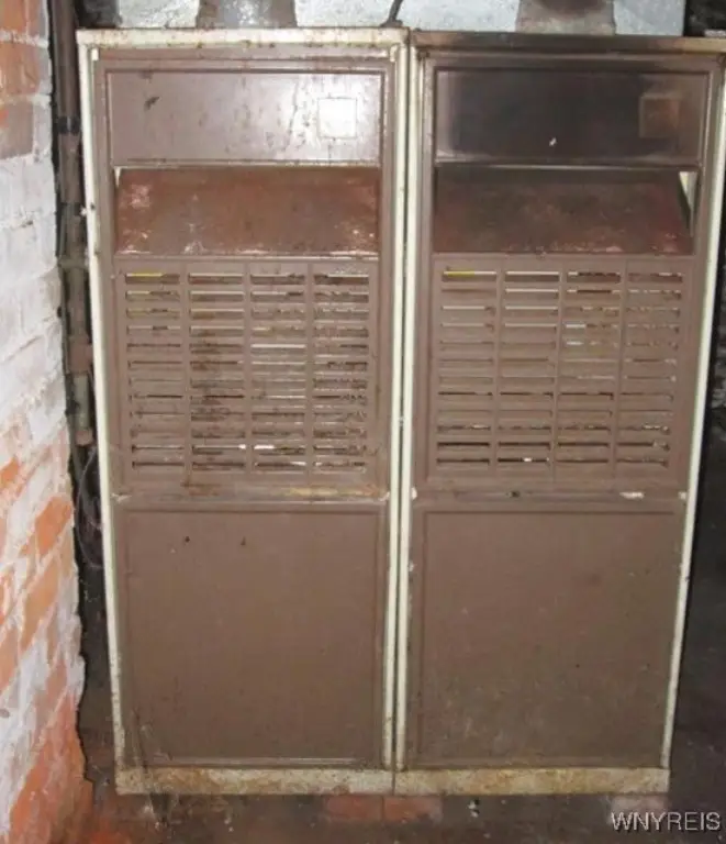 Picture 48