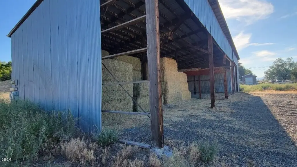 Picture 14