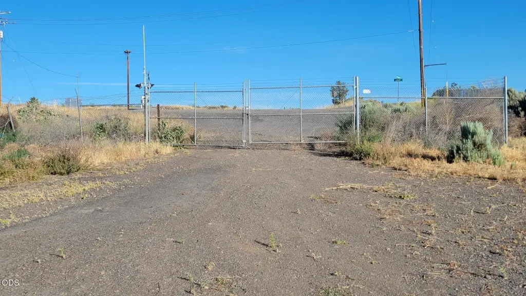 Picture 4