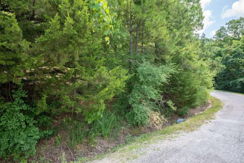 Picture 4