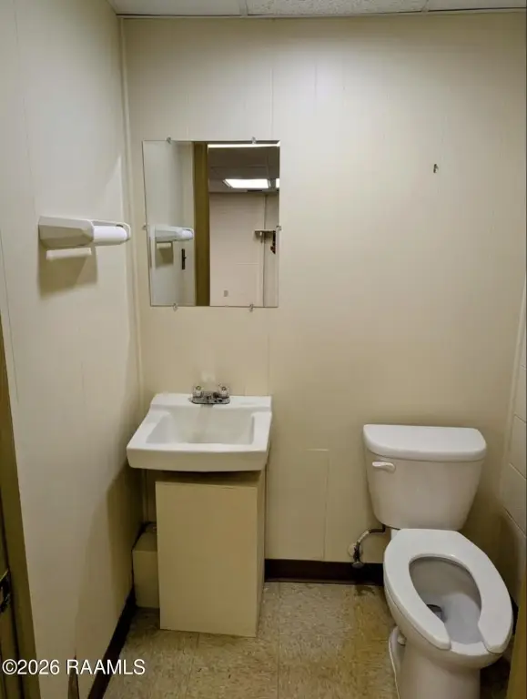 Picture 19