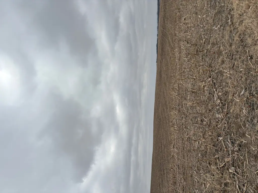 Picture 17