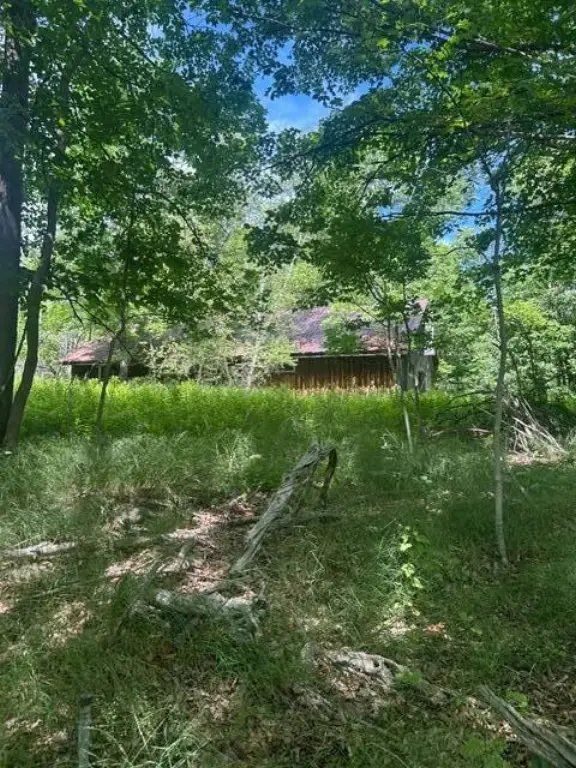 Picture 10