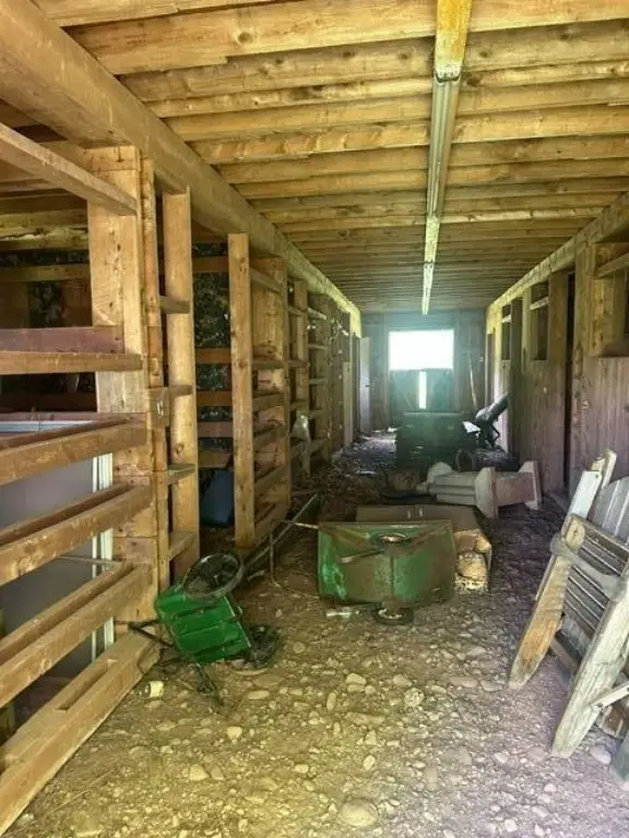 Picture 11