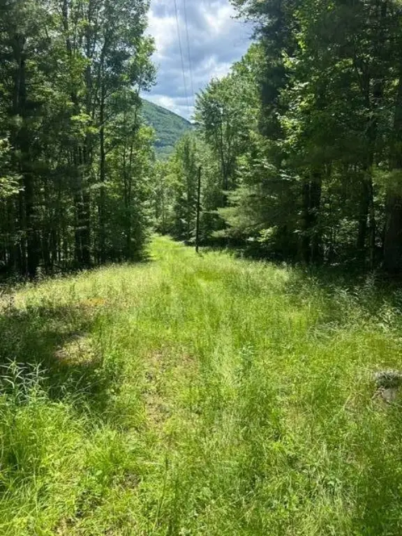 Picture 2