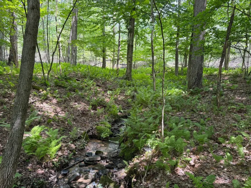 Picture 18