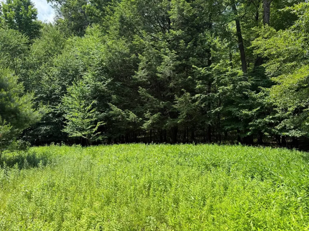 Picture 22
