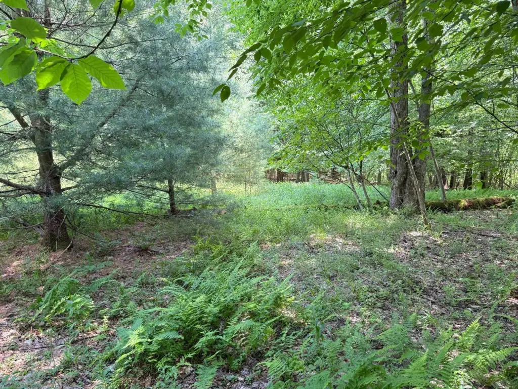 Picture 25