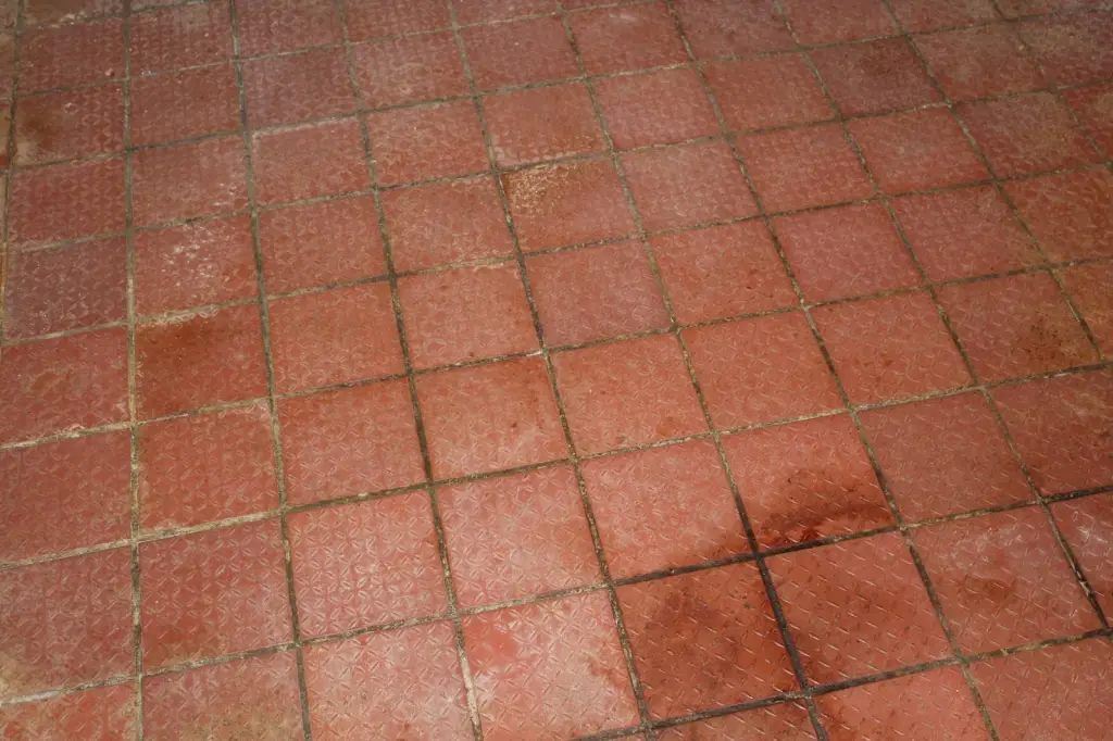 Picture 57