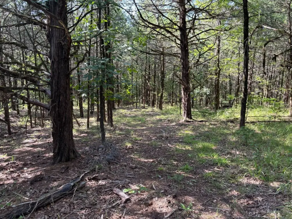 Picture 23