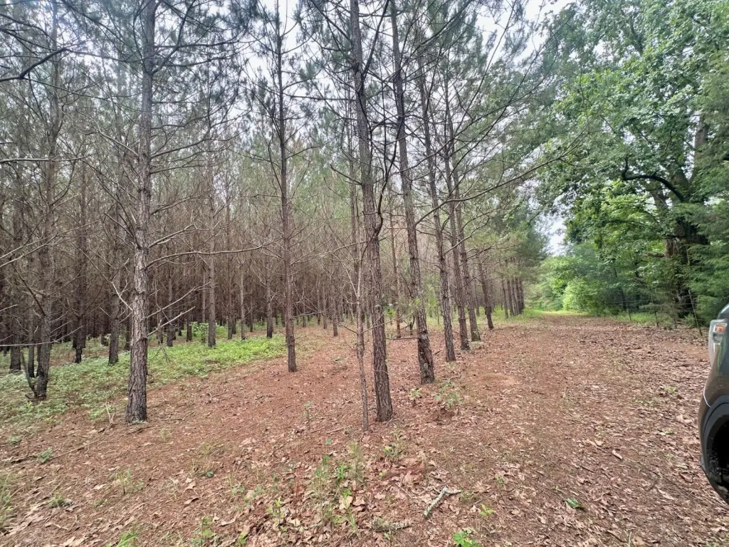 Picture 9