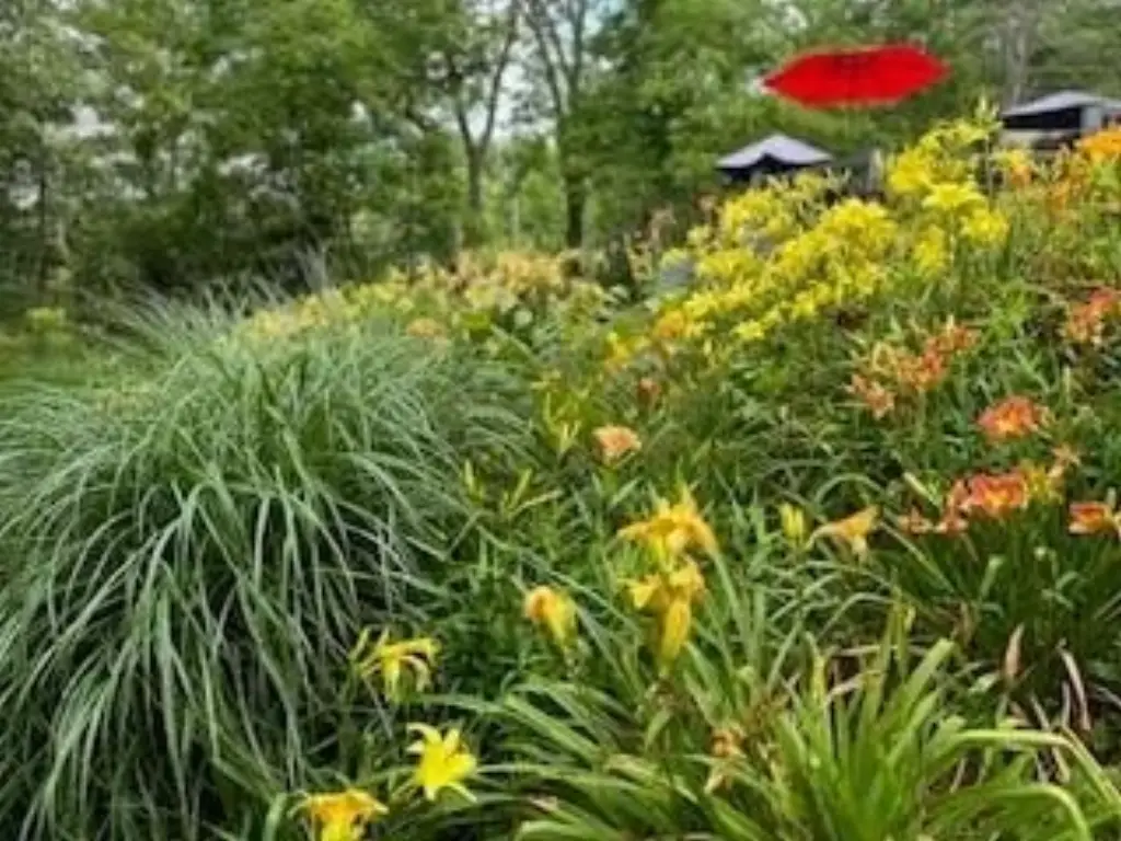 Picture 10