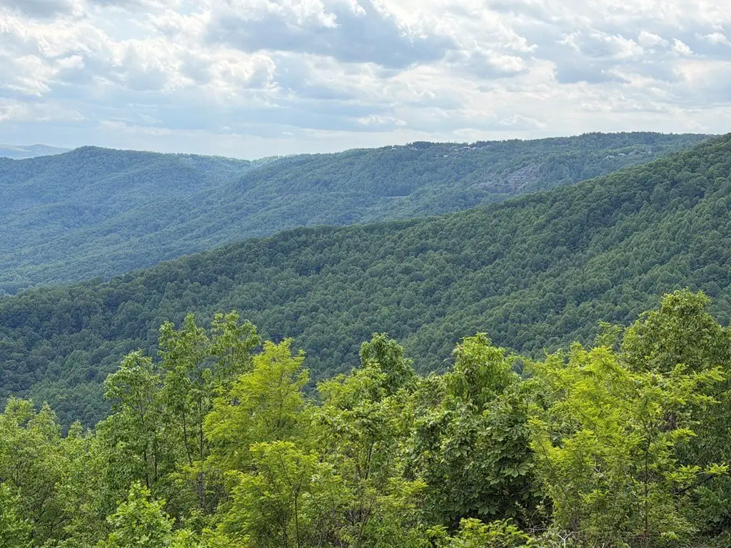 Picture 8