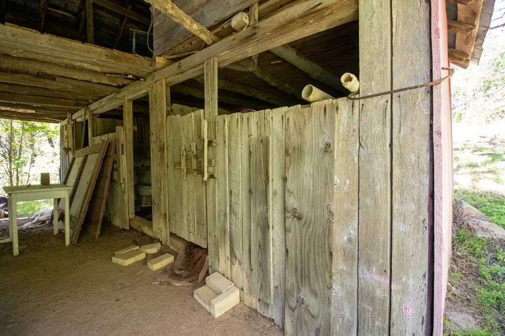 Picture 8