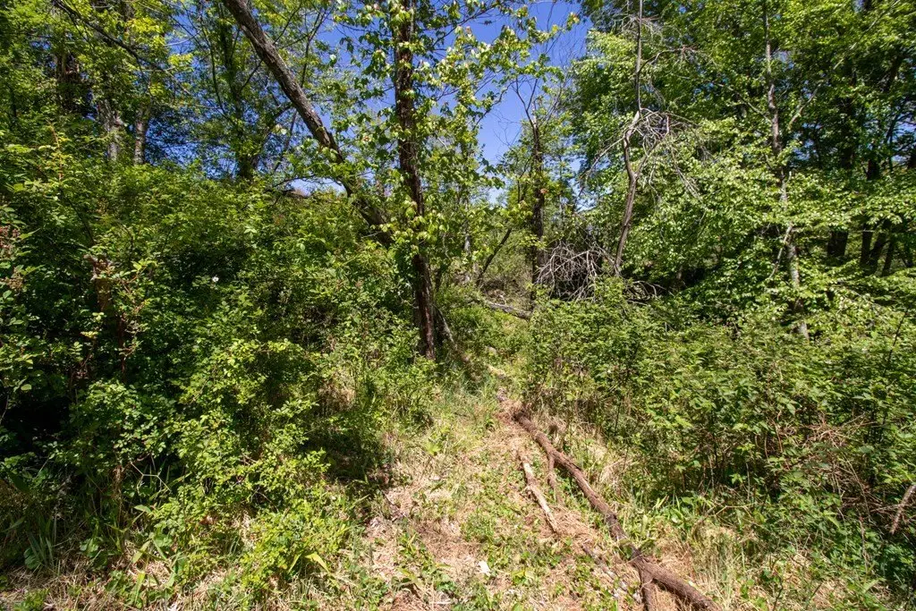 Picture 19