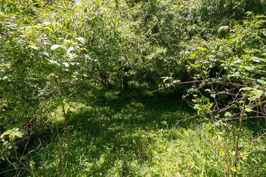 Picture 12