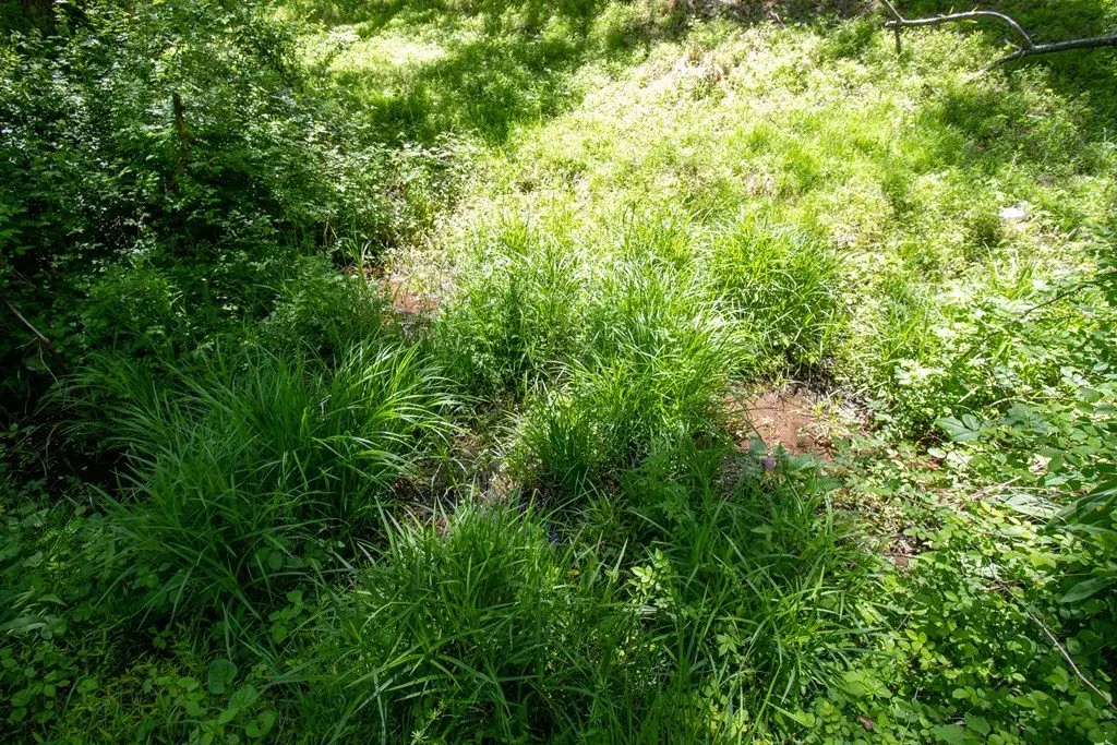 Picture 18