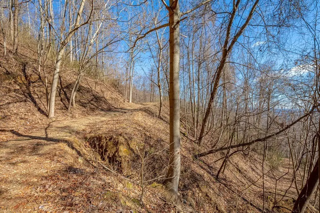 Picture 37