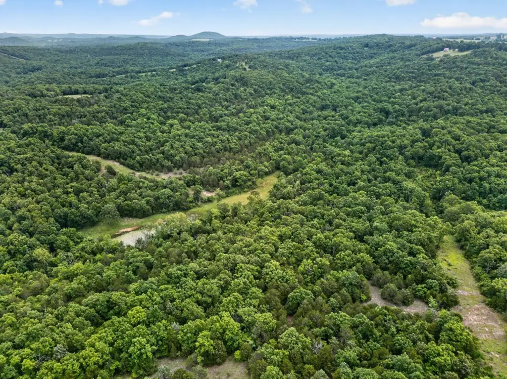 Picture 55