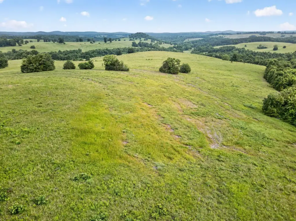 Picture 22