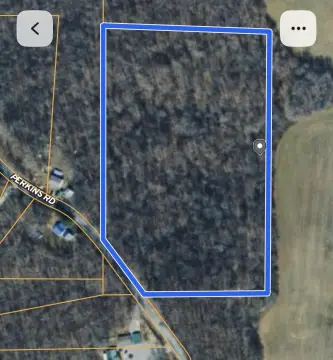 Wooded Hunting Land