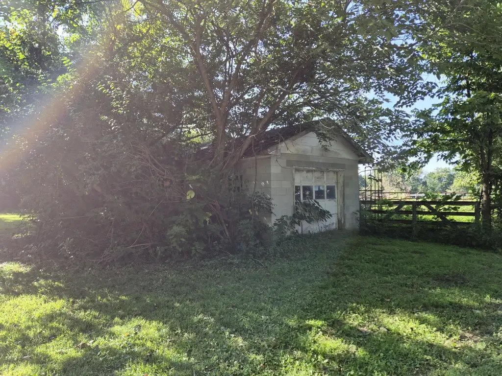 Picture 29