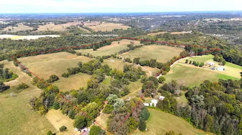 Pastureland with Road Frontage