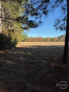 Versatile Land in Springfield, GA